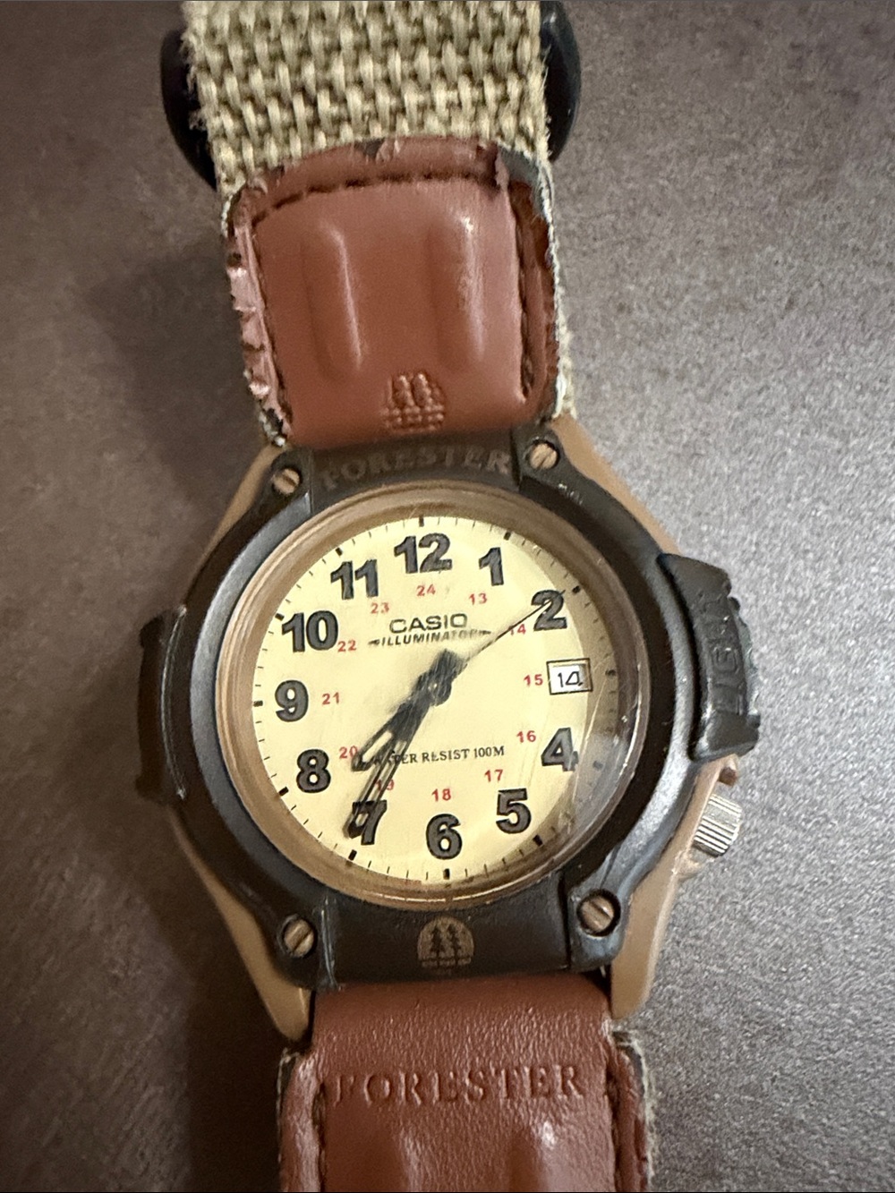Casio Men's Watch – Cream Dial with Brown Accents needs battery